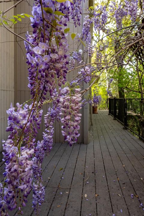 A home in Austin