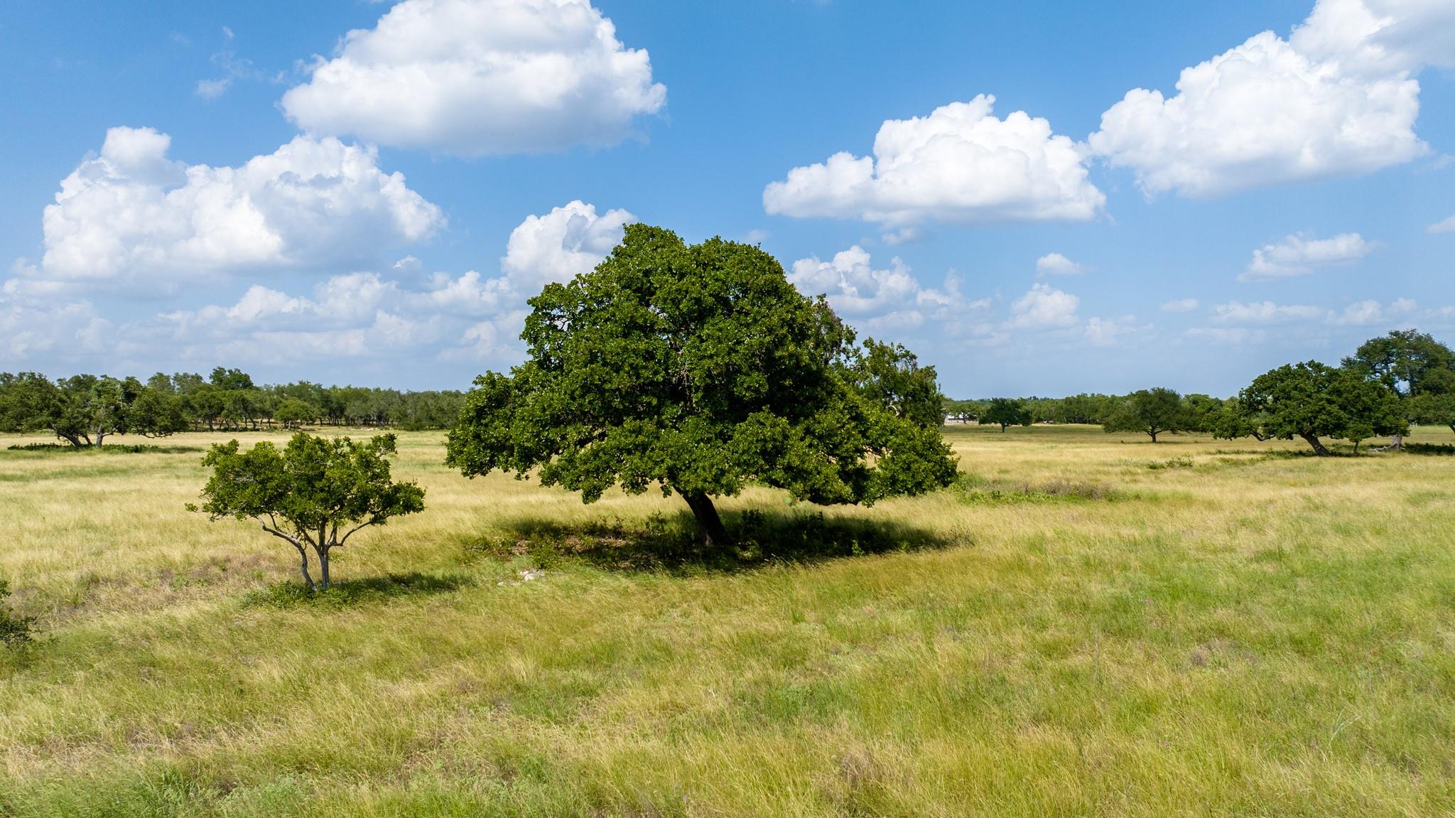 0 Lone Man Mountain RD