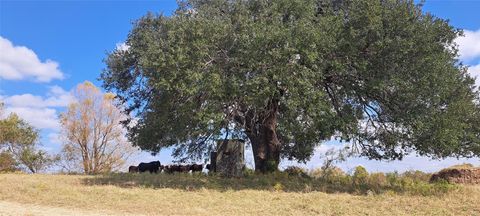 3432 County Road 206 RD N Cameron TX 76520