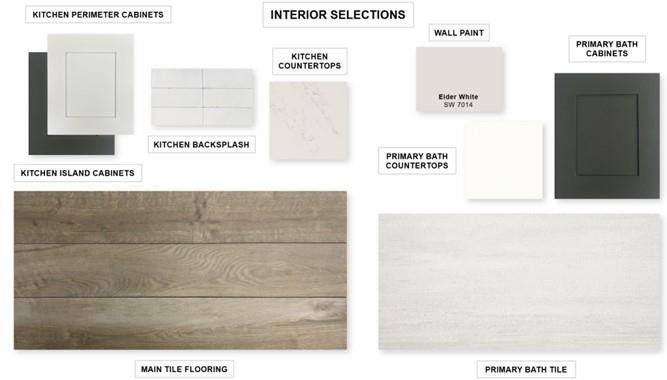 1437 Purple Petunia LN