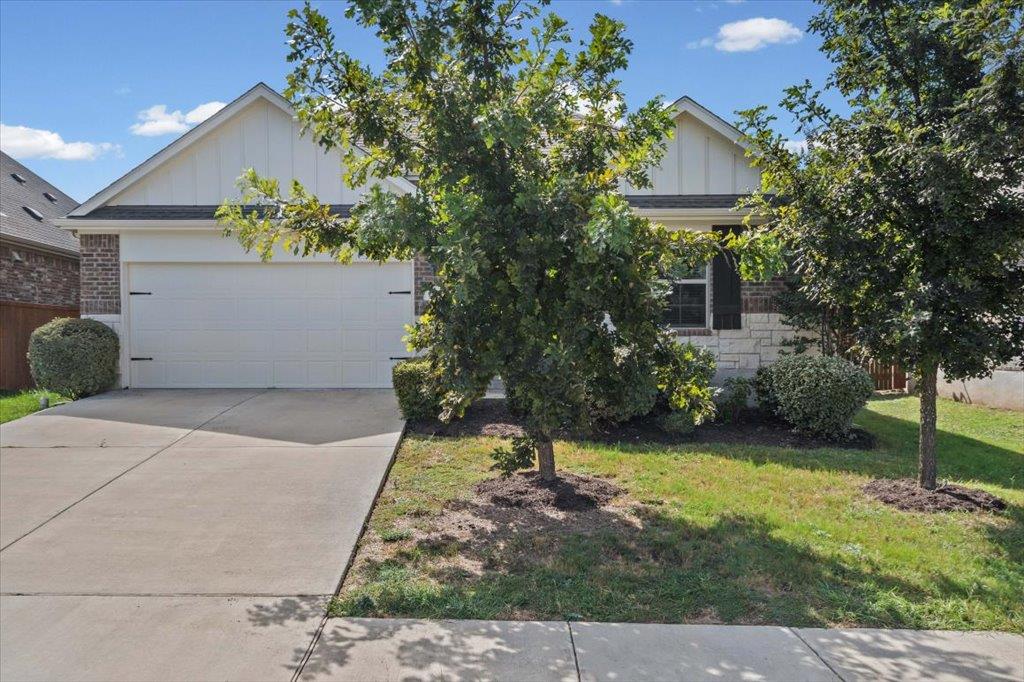 277 Spinnaker LOOP