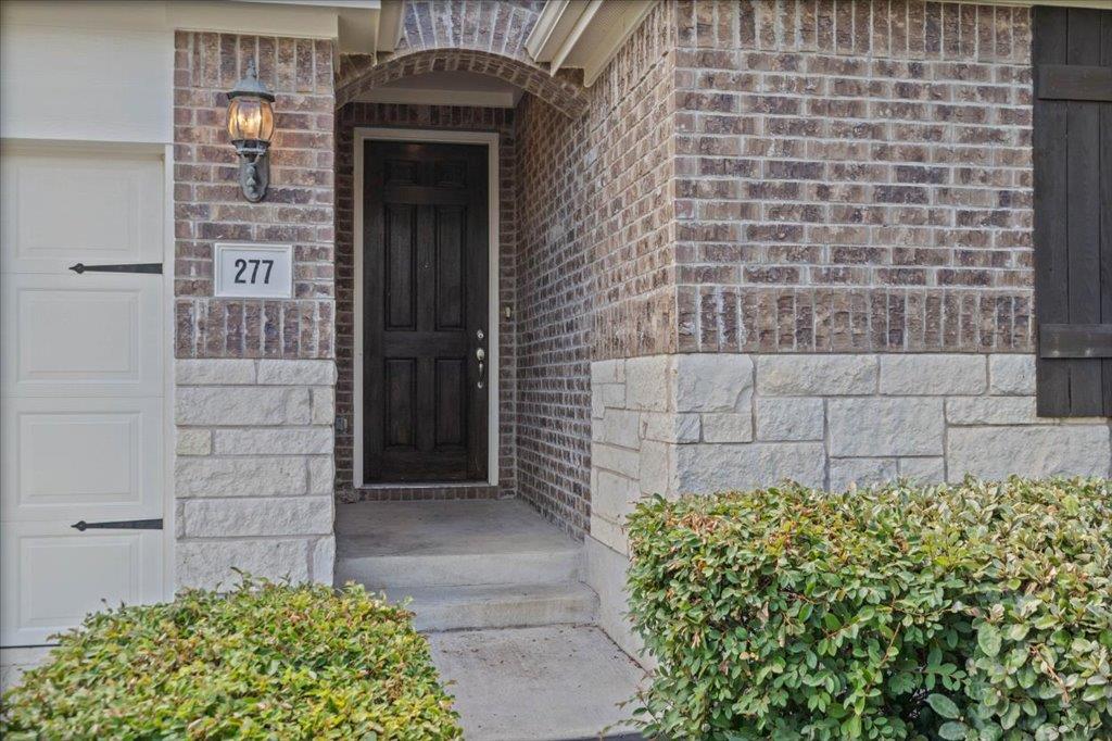 277 Spinnaker LOOP