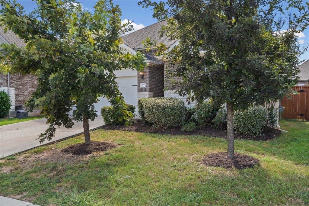 277 Spinnaker LOOP