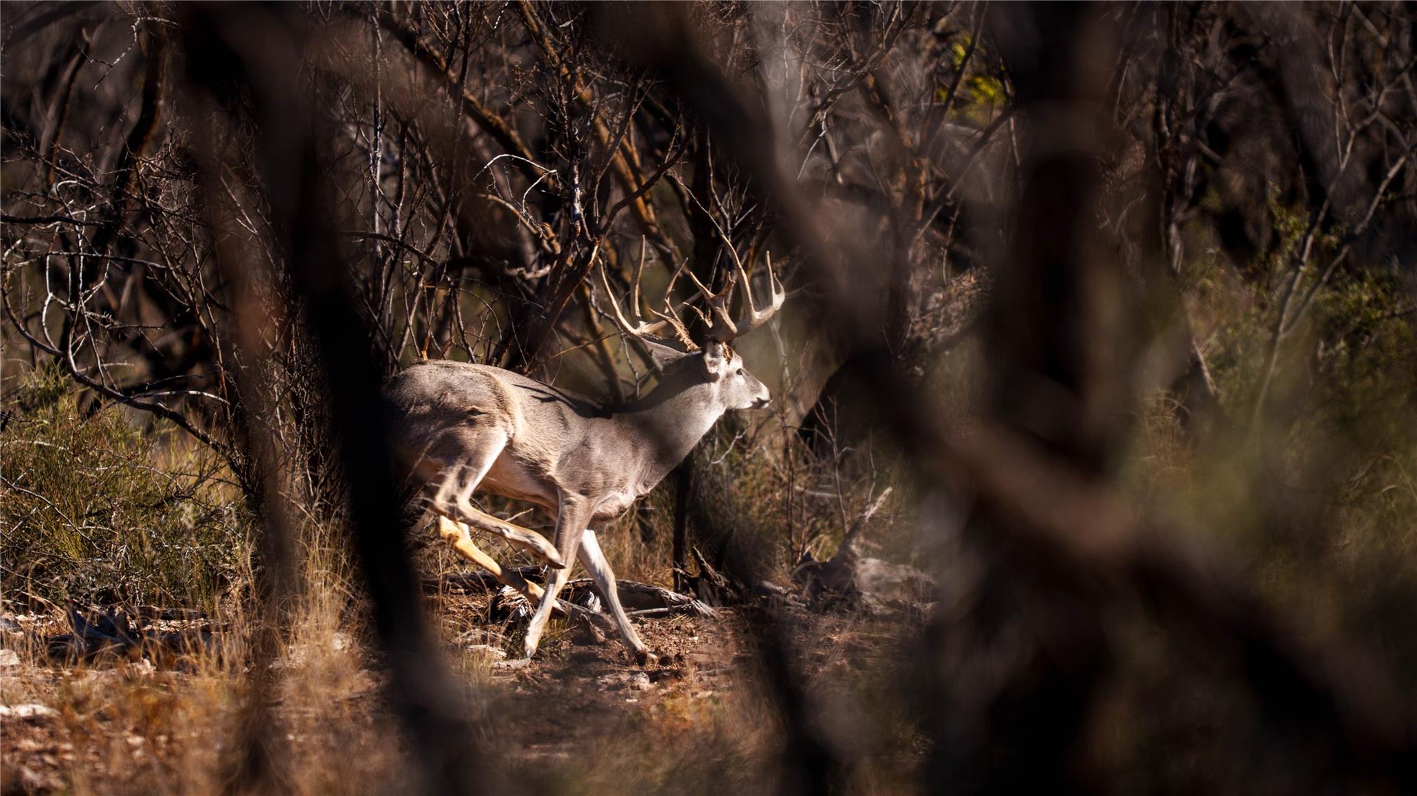 20775 County Road 1445