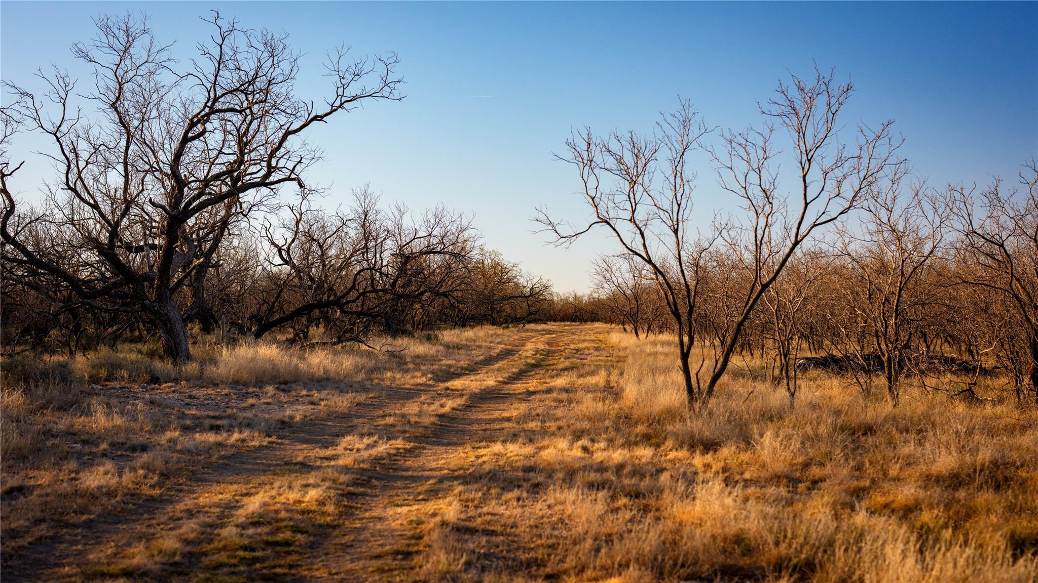 20775 County Road 1445