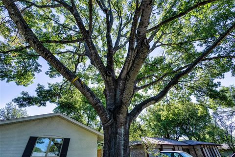 A home in Austin