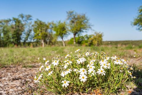 Tiny photo for 21411 Hamilton Pool RD, Dripping Springs, TX 78620 (MLS # 1220208)