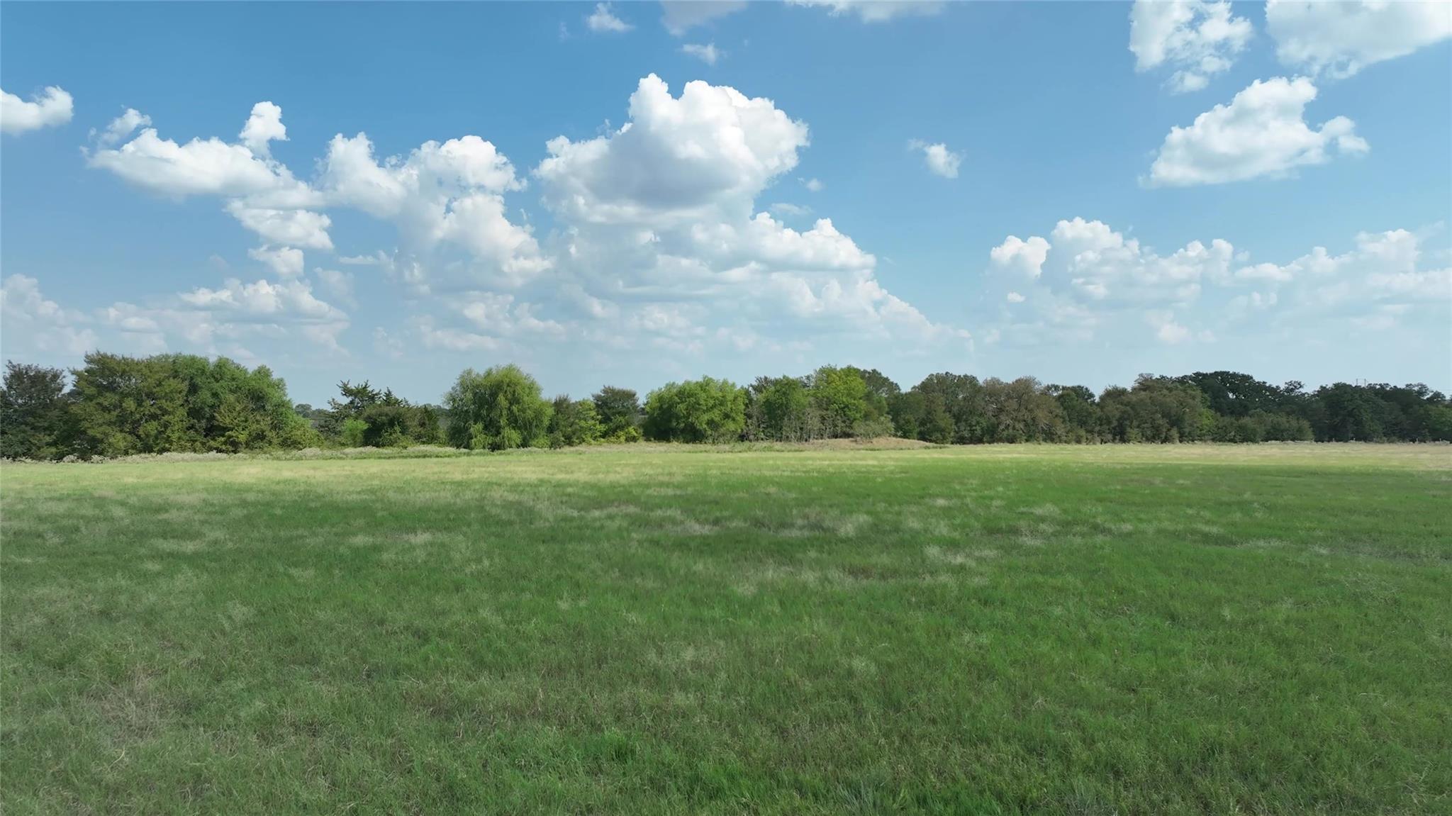 TBD Farm to Market Road 60