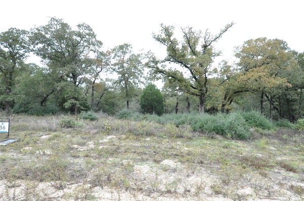 TBD OAKVIEW LN, THRALL, TX 76578 - Image 73bbe1c1a8ec38837e112a06e643e700/2095256190
