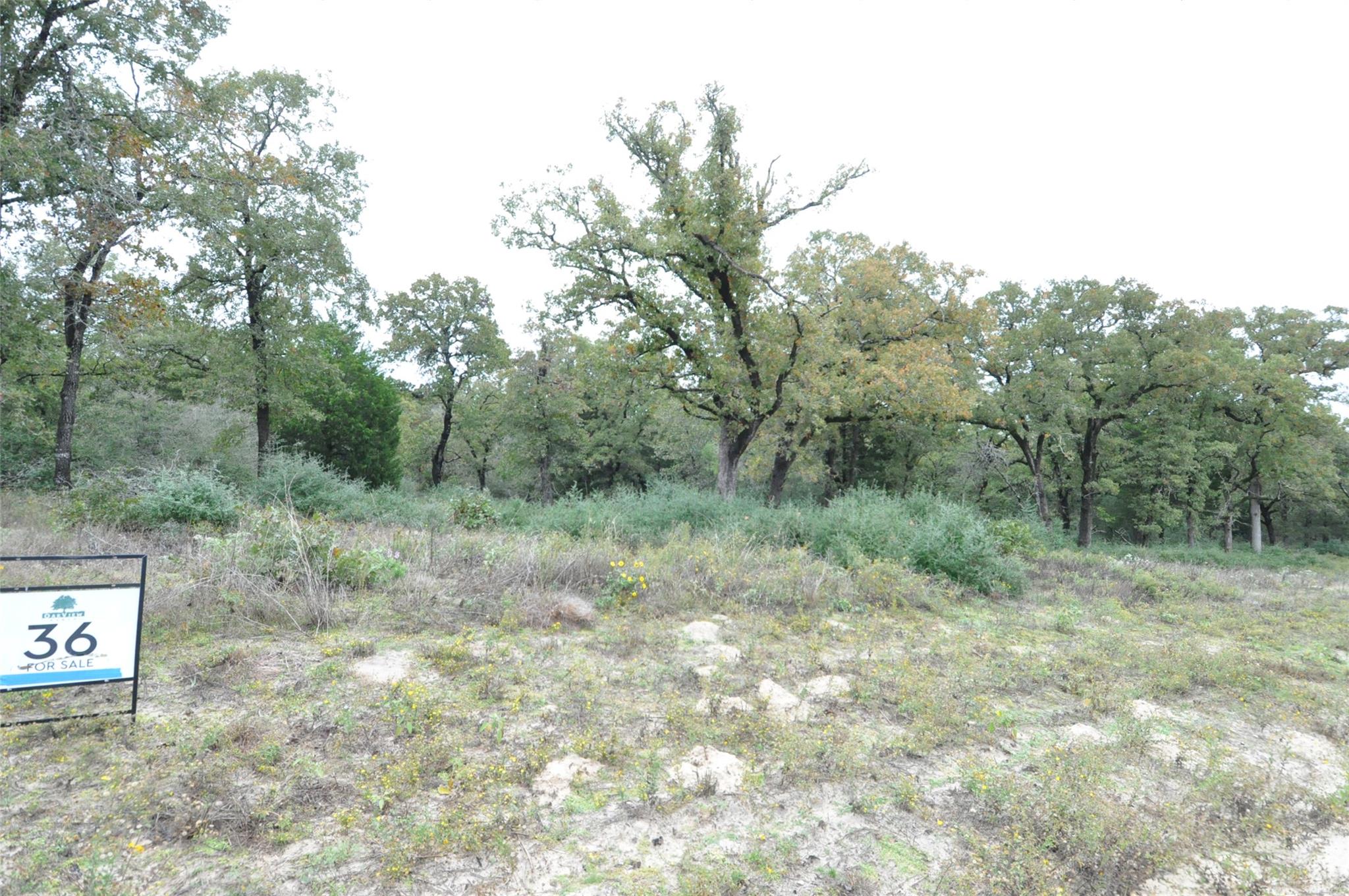 TBD OakView LN