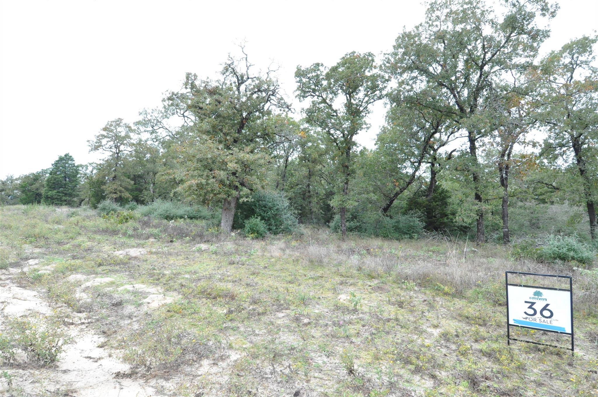 TBD OakView LN