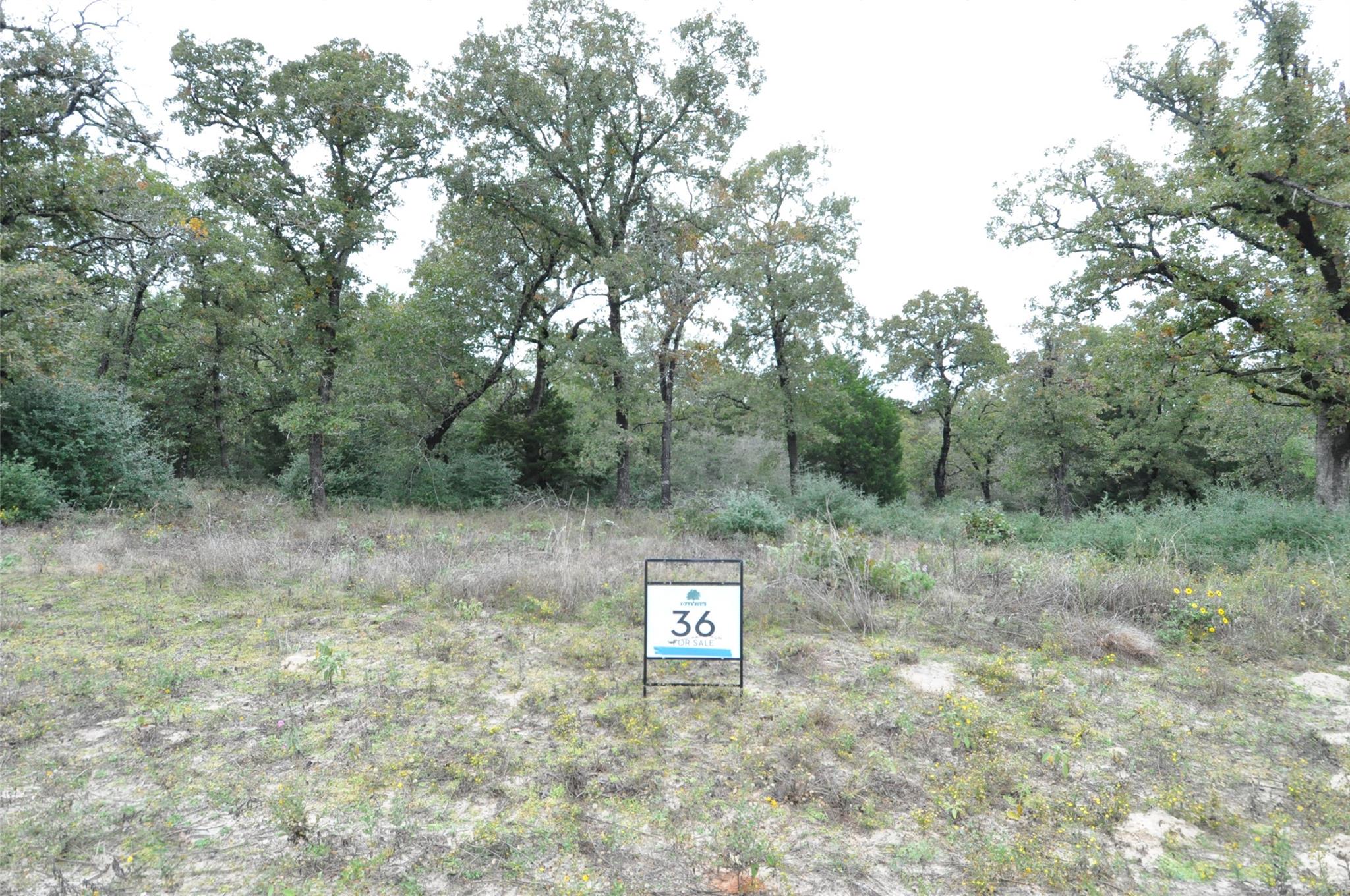 TBD OakView LN