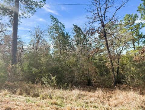 Photo of 106 Olomana CT, Bastrop, TX 78602 (MLS # 4096789)