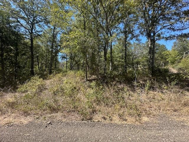 0 TBD lot 104 Ripple Brook DR
