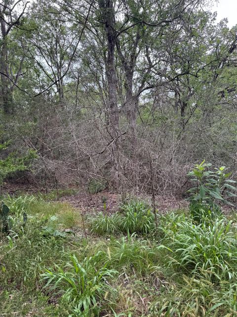 Lot 1035 Kawainui LN Bastrop TX 78602
