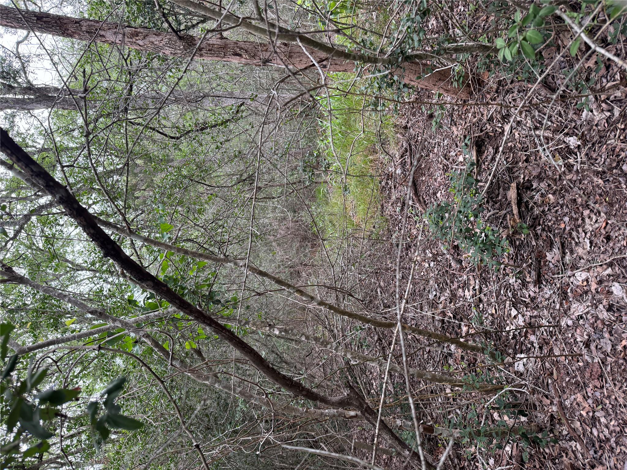 Lot 1035 Kawainui LN