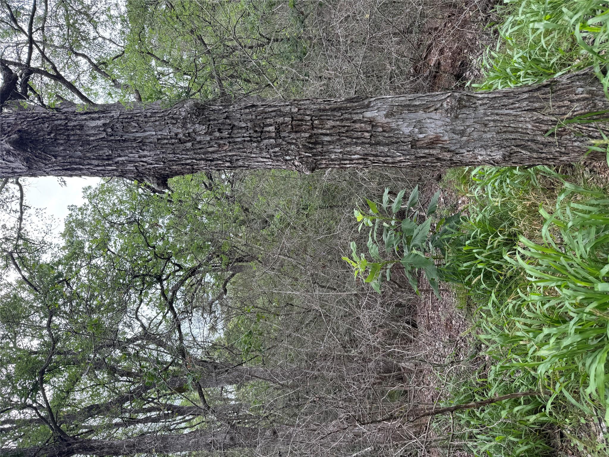 Lot 1035 Kawainui LN