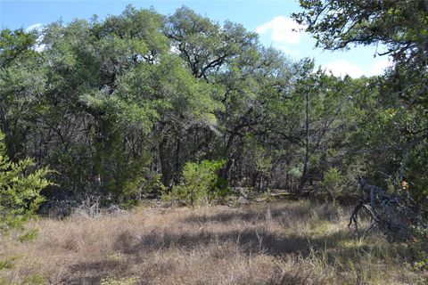 Tiny photo for 8409 Appaloosa RUN, Austin, TX 78737 (MLS # 7278134)