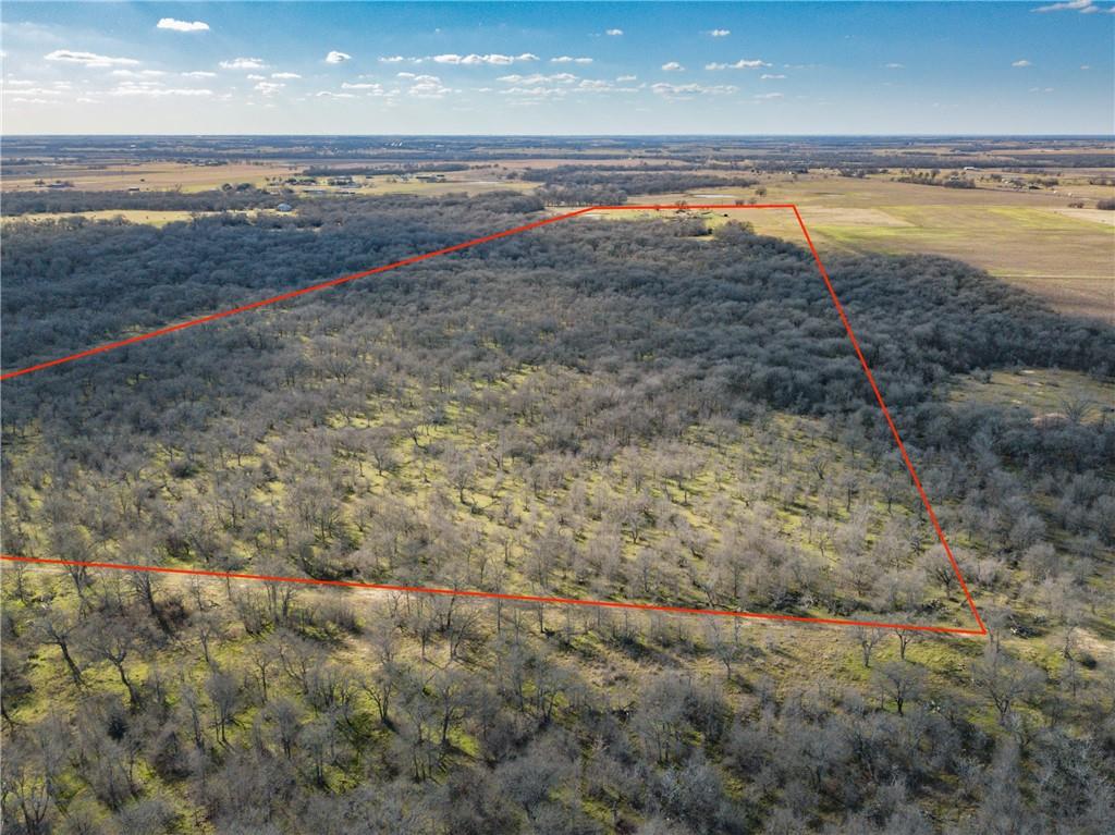 2565 County Rd 442