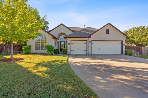 Photo of 1411 Apache CV, Pflugerville, TX 78660 (MLS # 6272335)