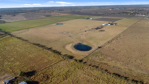Photo of 19919 Fm 973 RD N, Coupland, TX 78615 (MLS # 8562991)