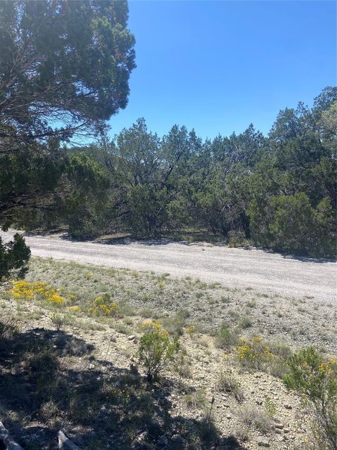 Photo of 20702 Appaloosa TRL, Lago Vista, TX 78645 (MLS # 2671024)