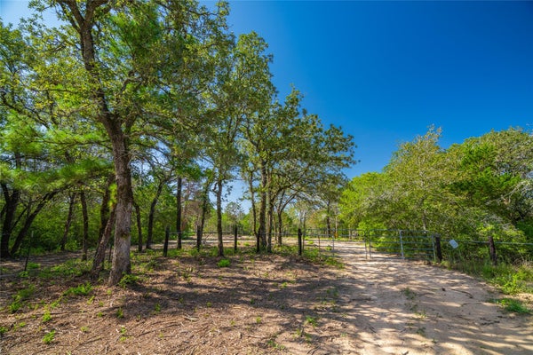 1247 SAND HILLS RD, RED ROCK, TX 78662 - Image 7569f81171470f2de656694f04ee8a2f/182368656