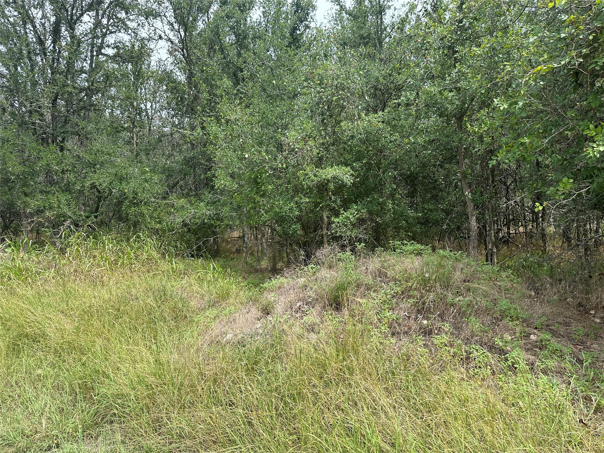 107 Halawa CT
