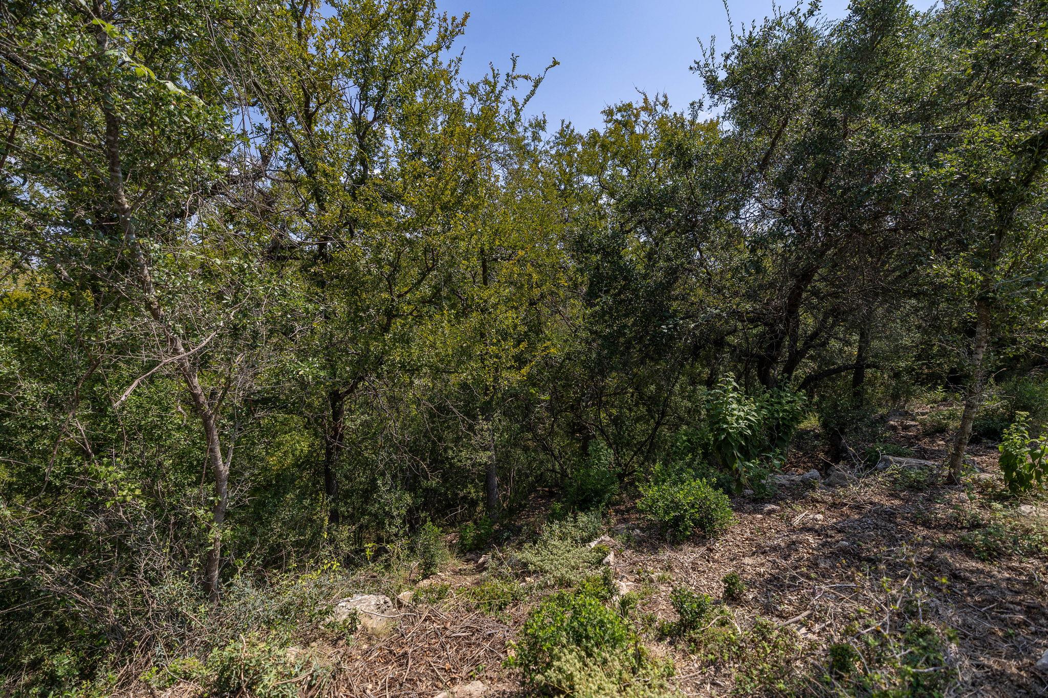 128 Hidden Springs CT