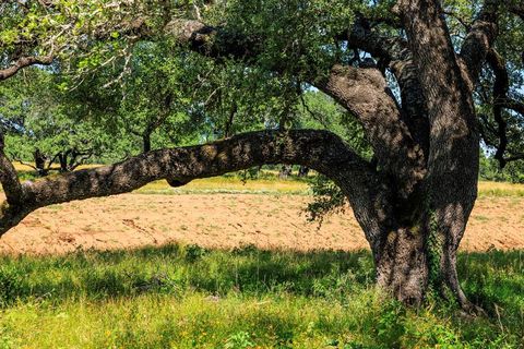 Photo of 3736-5 County Rd 113, Llano, TX 78643 (MLS # 5101836)