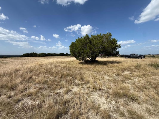 SPRING CREEK TRL, SPICEWOOD, TX 78669 - Image 75b8fb4e91abb46842d22a0defd53a14/443894435
