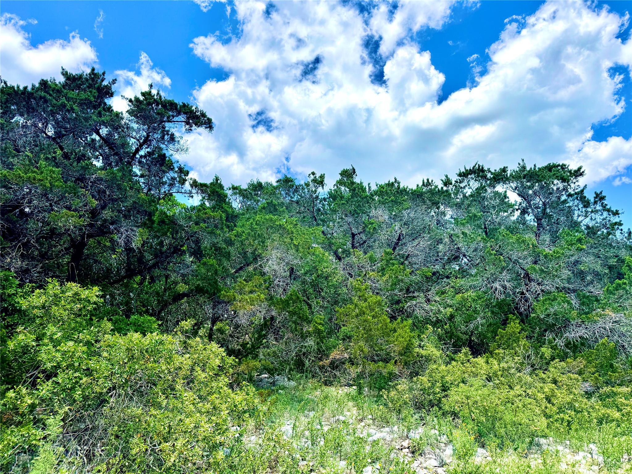 LOT 2, UNIT 4 Private Rd 2771