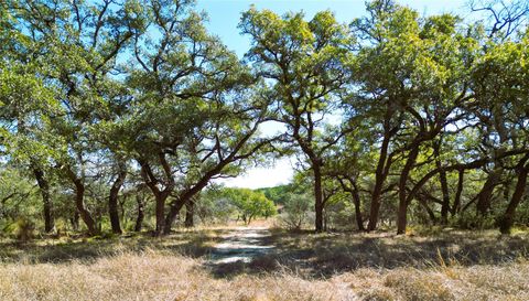 1090 Wilson Ranch RD Round Mountain TX 78663