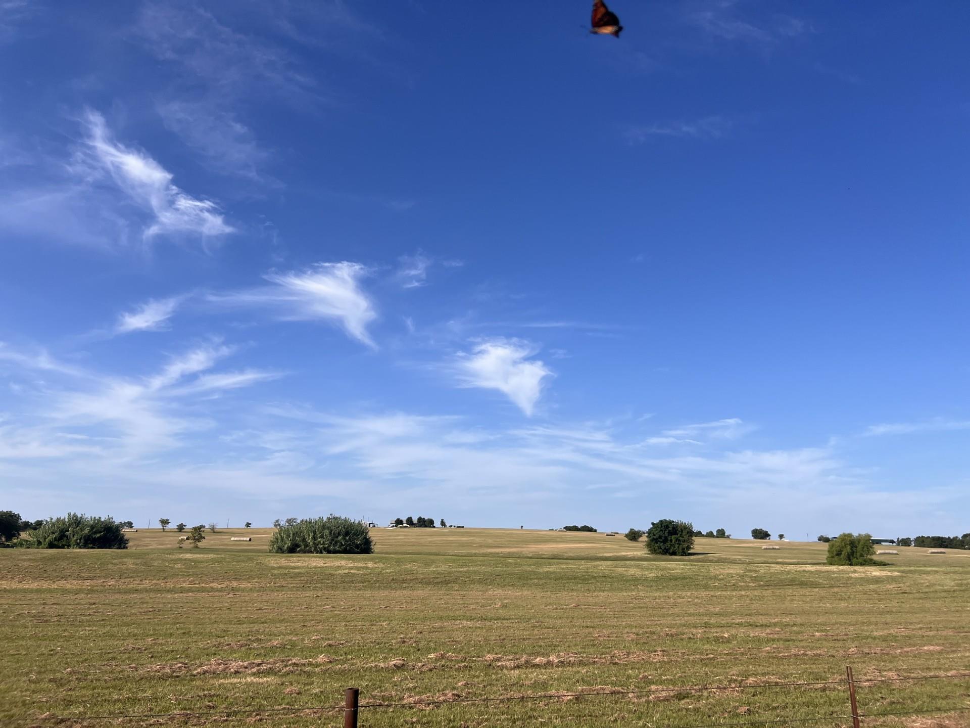 700 County Road 330 RD