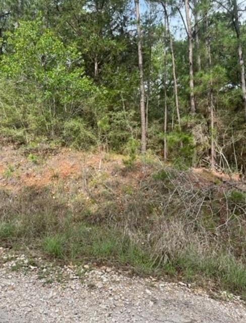 Lot 345 Wainee DR