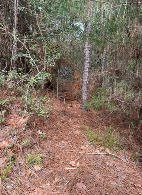 Lot 345 Wainee DR
