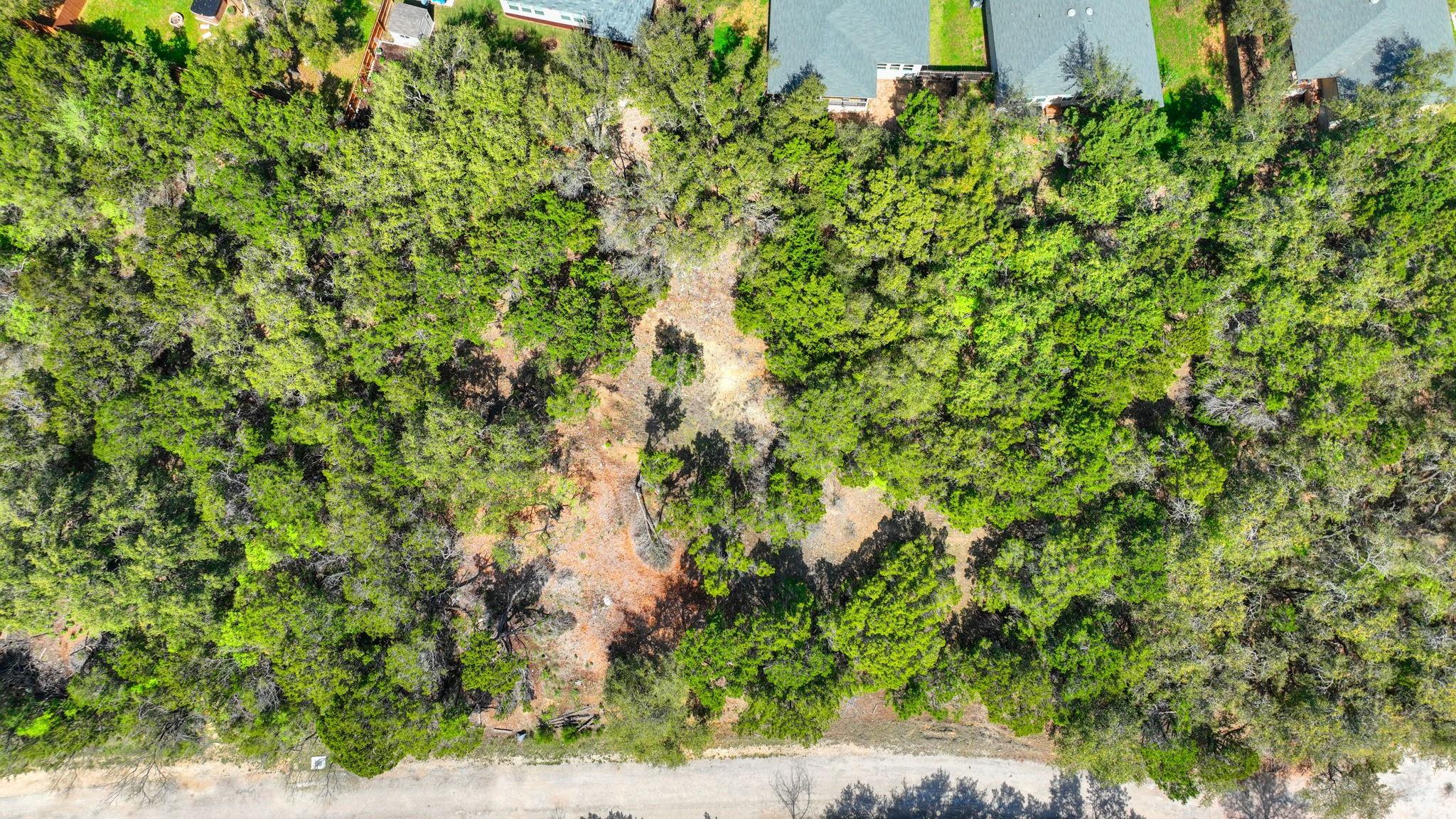 21608 Orlando CV