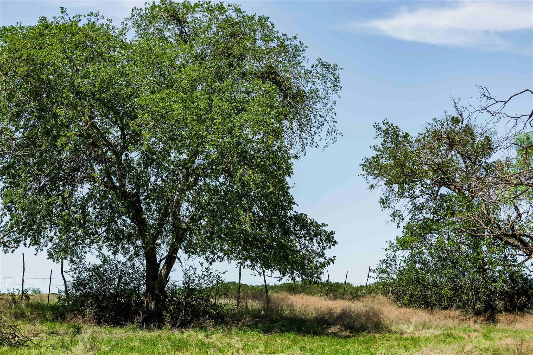 TBD Tract 2 County Road 203