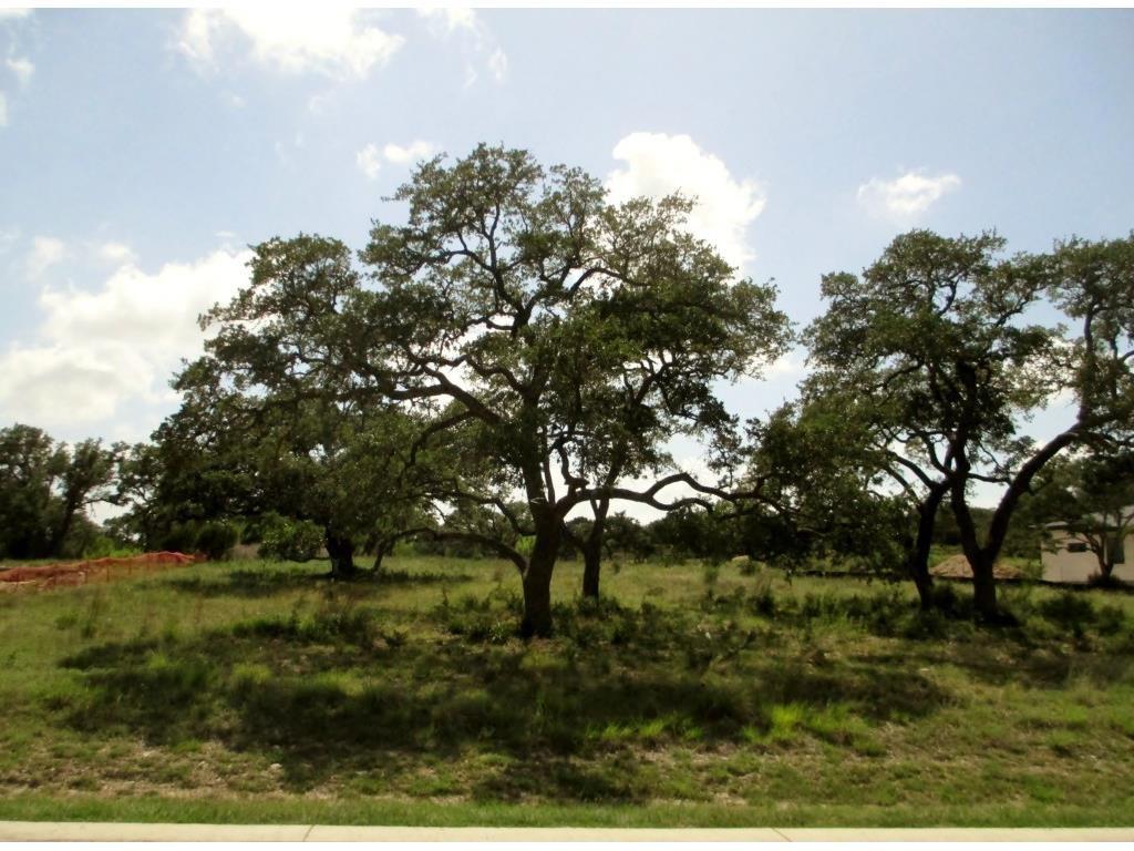 Photo 1 of 22 — 8316 Verde Mesa CV, Austin, TX 78738