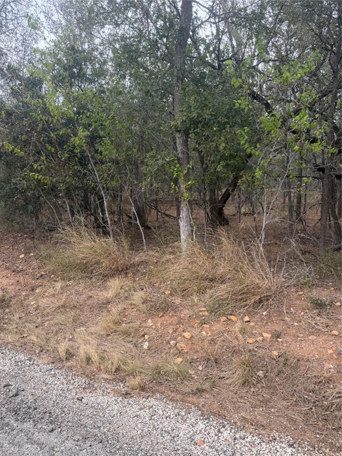 Photo of Lots 298, 300 and 54 Riverside and Kahana DR, Bastrop, TX 78602 (MLS # 1473196)