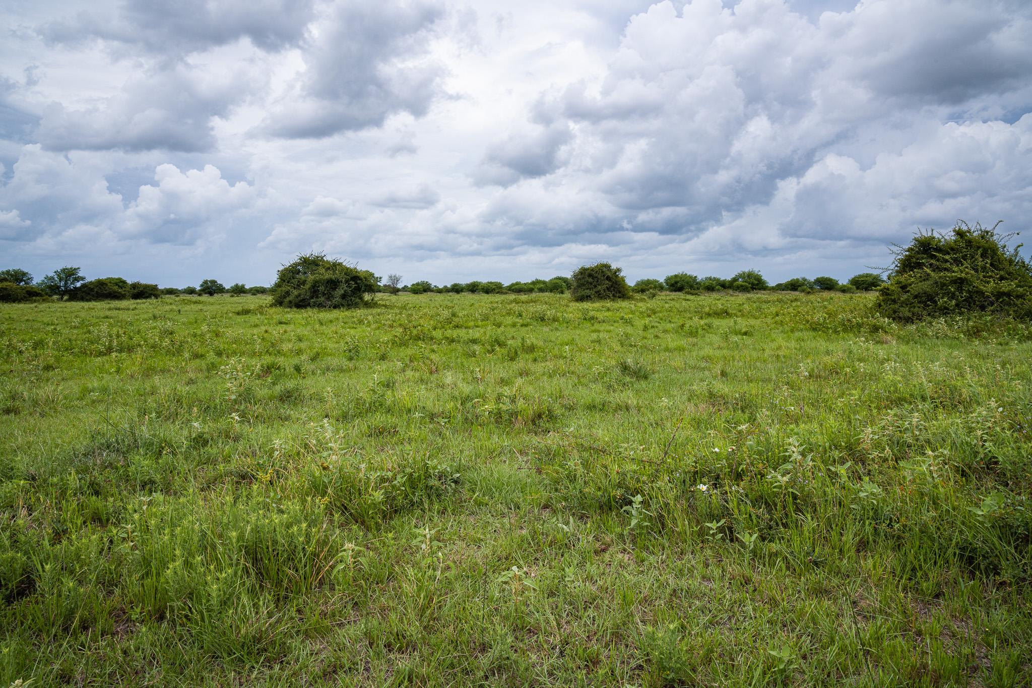 TBD Rice RD