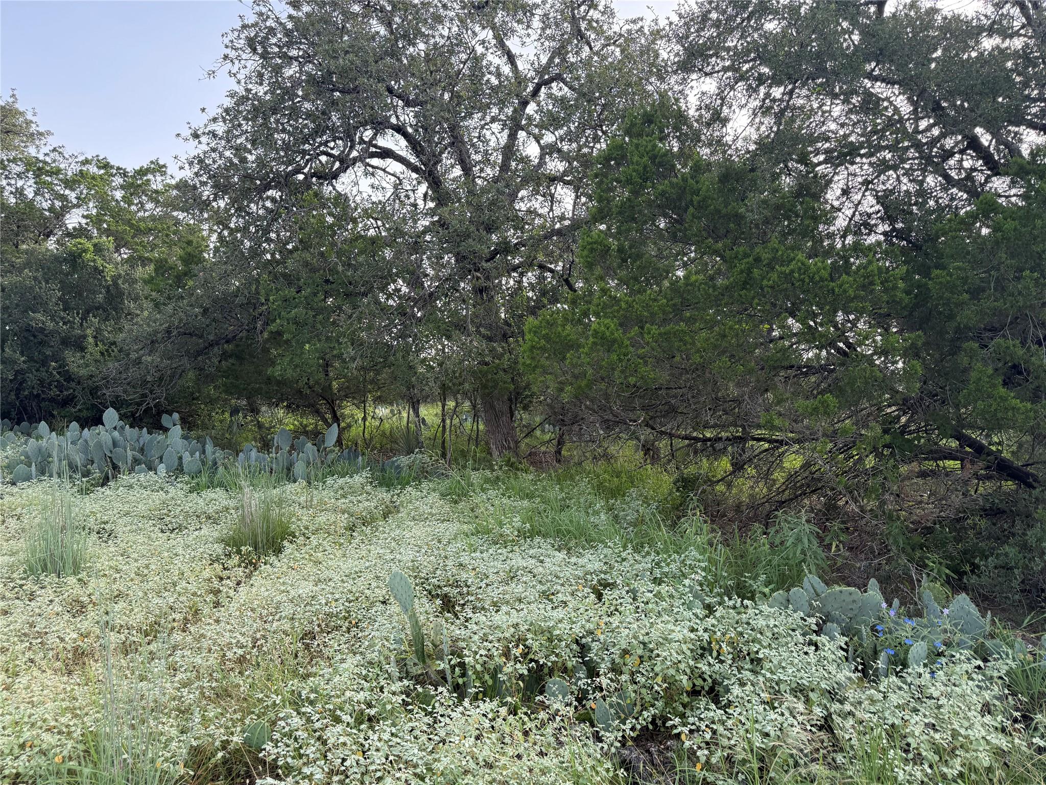 Lot 424 & 425 Oakhill DR