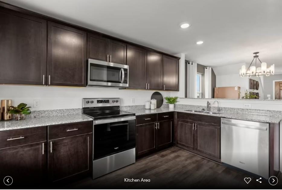 5219 Monarda Mint DR