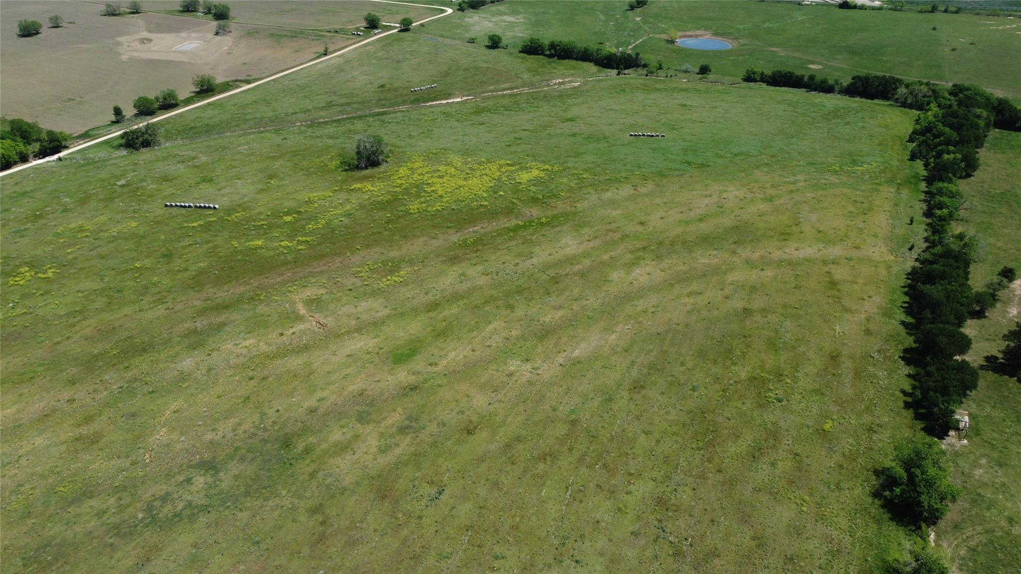 12901 County Road 440