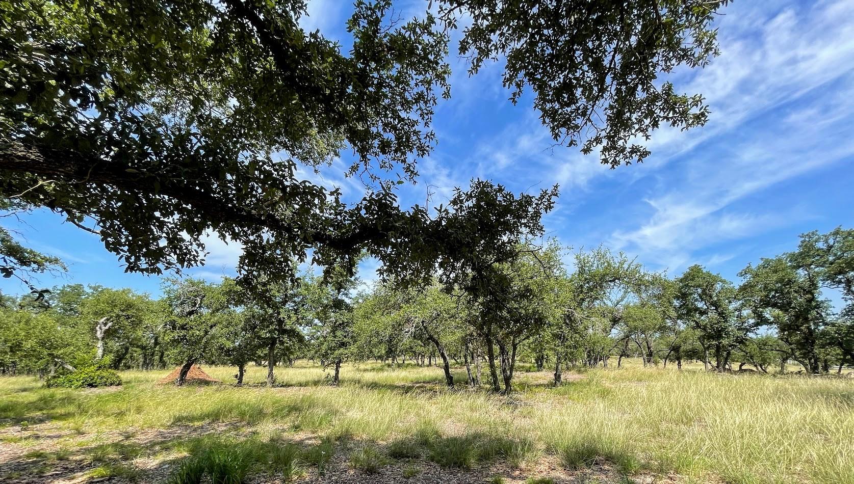 View Dripping Springs, TX 78620 land