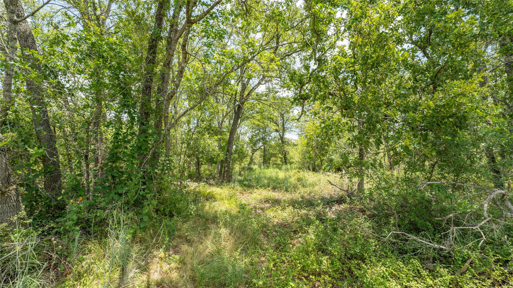 418-G County Road 405