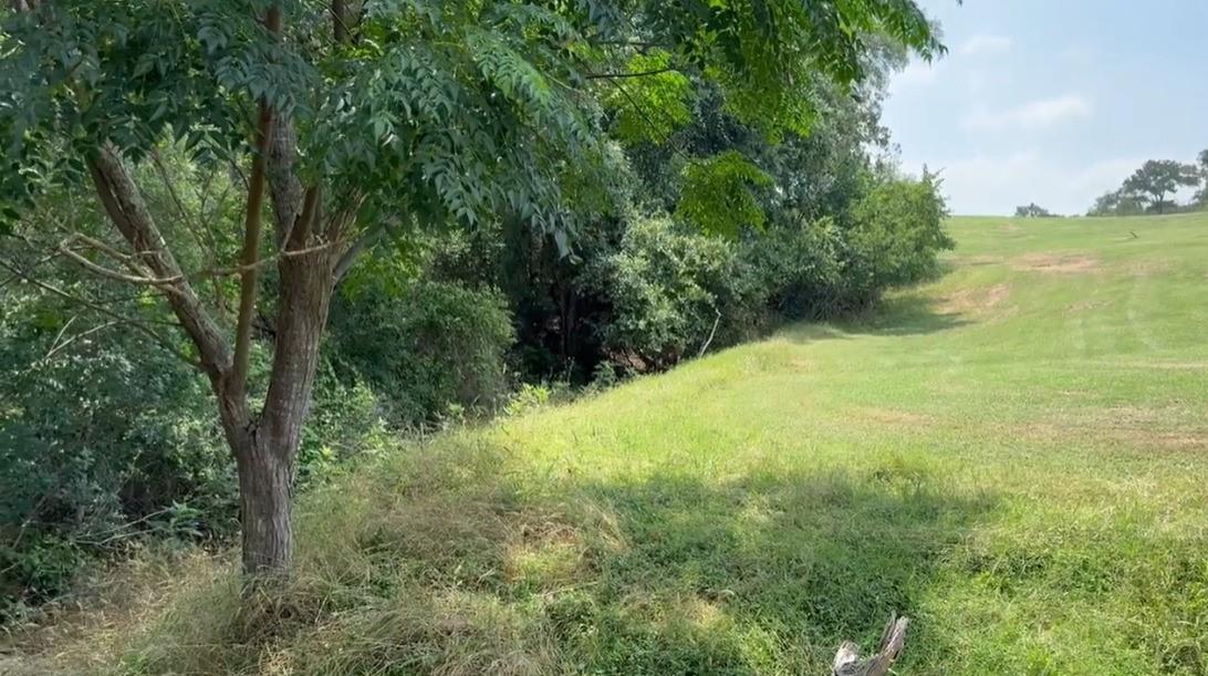 Lot 649 Kaukonahua LN