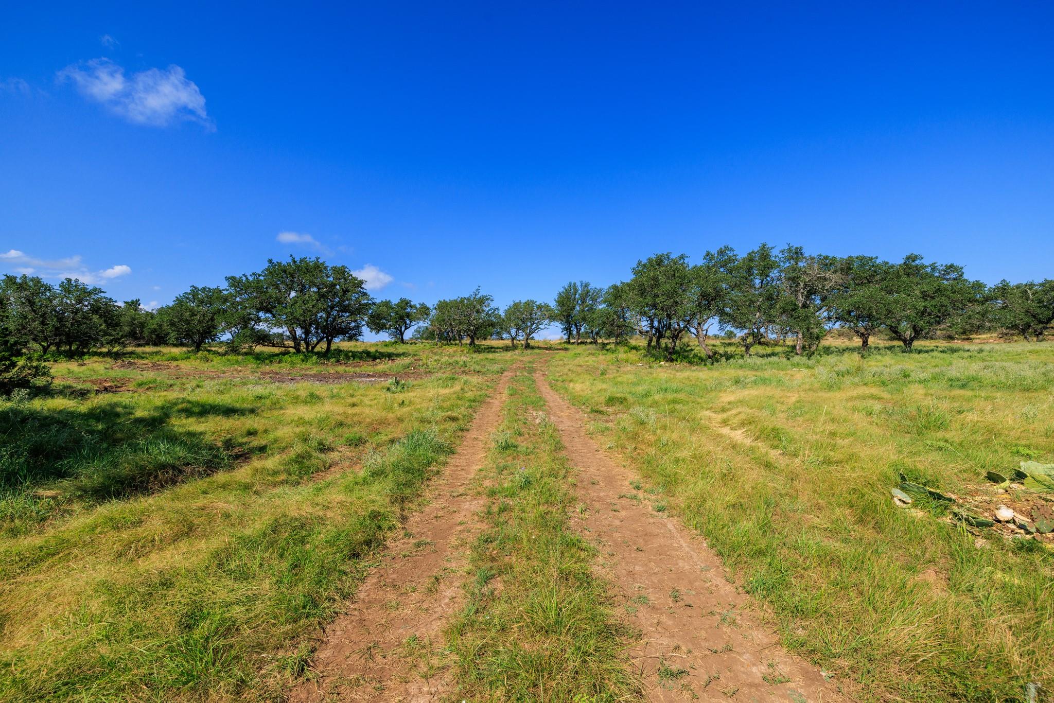 181+/- AC - 20977 US 87 Highway