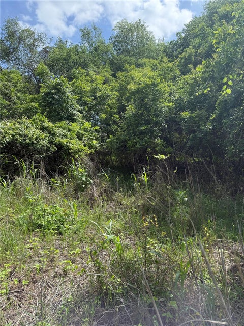 Photo of Lot 959 Riverside DR, Bastrop, TX 78602 (MLS # 4145895)