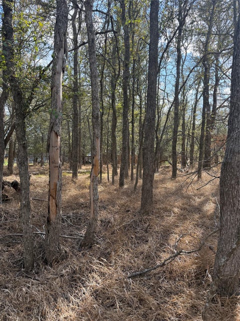 Photo of Lot 118 W Keomuku LN, Bastrop, TX 78602 (MLS # 9750047)